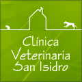 CV San Isidro
